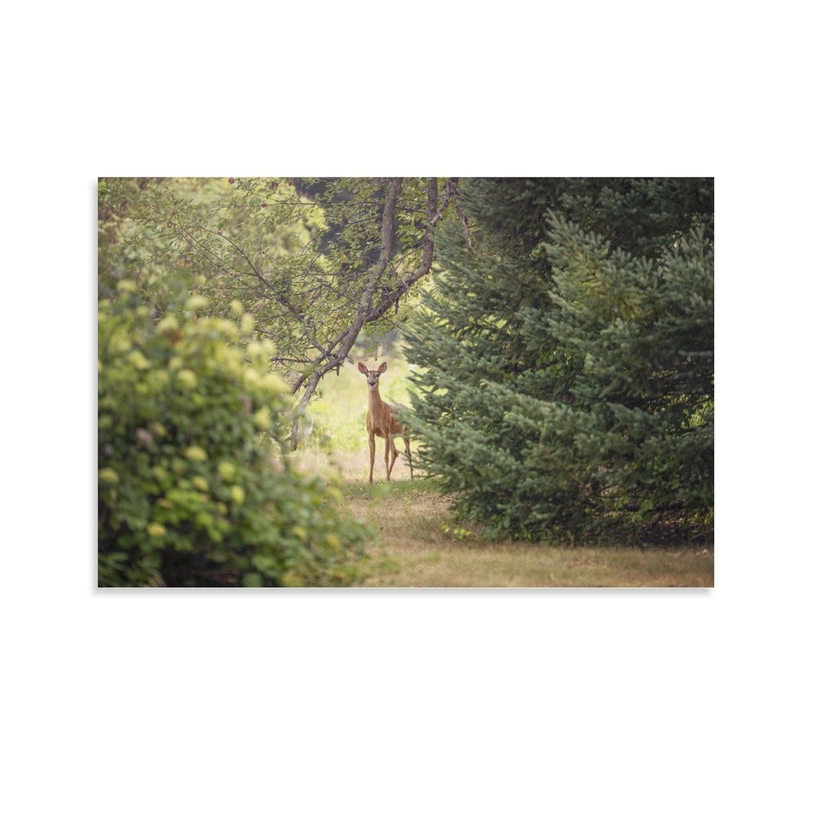 Roe-deer Artworks Picture Print Poster Wall Art Painting Canvas Gift Decor Home Posters Decorative 08x12inch(20x30cm)