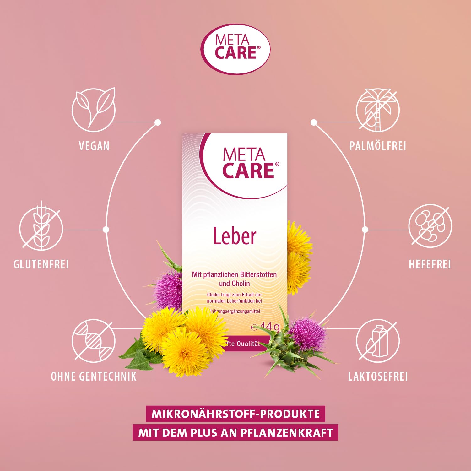 Leber – Mit bewährten Bitterstoffen aus Mariendistel (80% Silymarin), Artischocke und Löwenzahn & Cholin – Hochdosiert – Vegan – 60 Kapseln