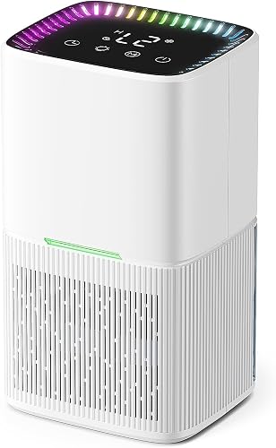Deshumidificateur d Air Electrique Portable 