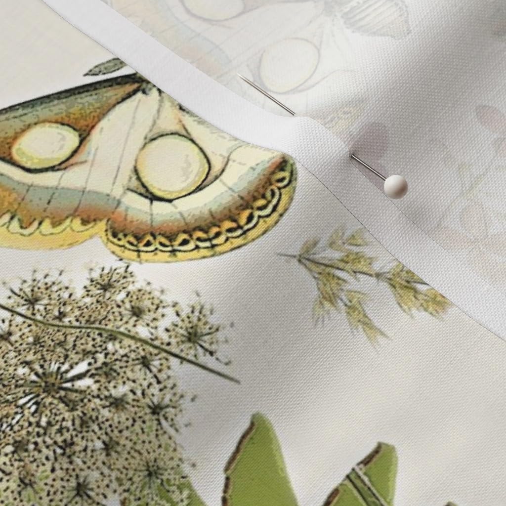 Spoonflower Fabric - Moth Butterfly Botanical Insects Natural Boho Entomology Printed on Petal Signature Cotton Fabric by The Yard - Sewing Quilting Apparel Crafts Decor