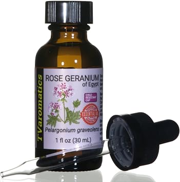TVaromatics Rose Geranium of Egypt 100% Pure Essential Oil w/Child Resistant Dropper Cap 1 fl oz 30 mL - Pelargonium graveolens