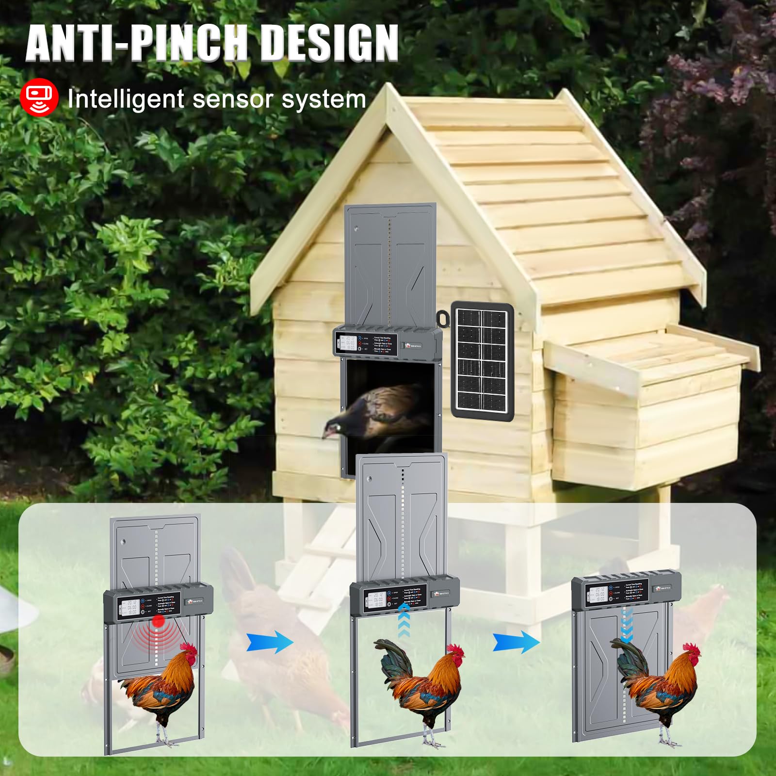 Puerta automática de pollo con energía solar antipellizcos