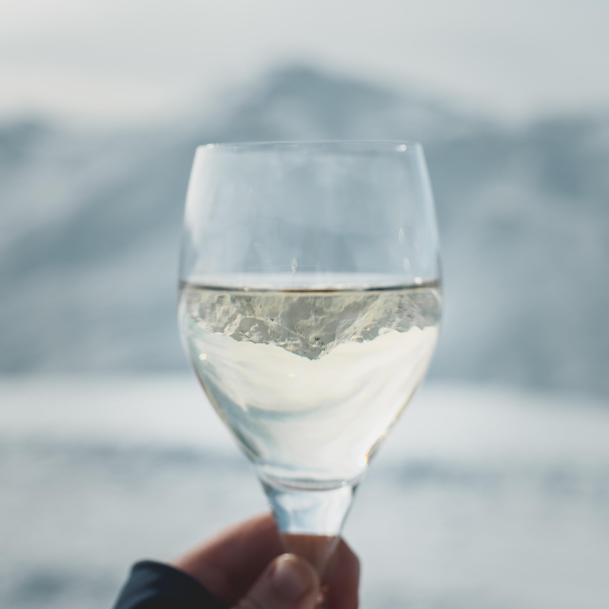 Relief Savoyard - Vino Bianco Sec Savoia, AOP Apremont, Francia (1 x 0,75L)