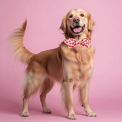 Miniatura 245 de Collar de perro con bandera estadounidense con pajarita, collar patriótico para perros pequeños, medianos y grandes, talla XS