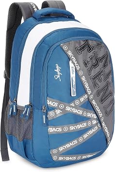 Skybags Riddle Blue Grey 46 Cms Casual Backpack with Raincover, BLUE GREY, One Size, Asian