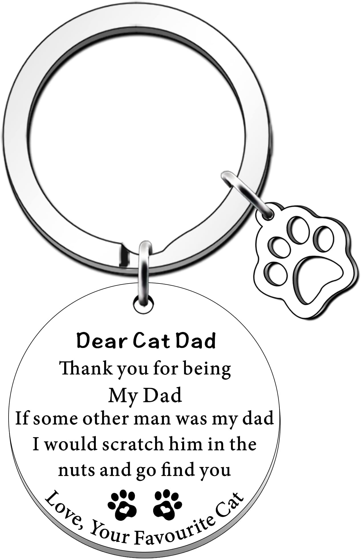 SDOFY Funny Cat Dad Gifts Cat Lovers Gifts for Men Dad Gift from Cat Fathers Day Present Christmas Birthday Gifts for Cat Dad, Silver, One Size, Keyring