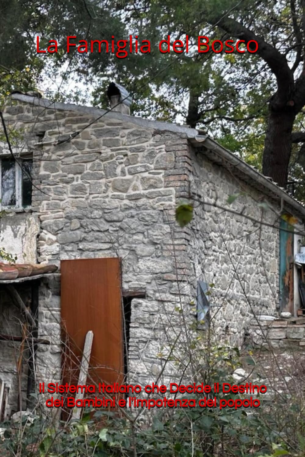 La Famiglia del Bosco: Il Sistema Italiano che Decide il Destino dei Bambini e l'impotenza del popolo