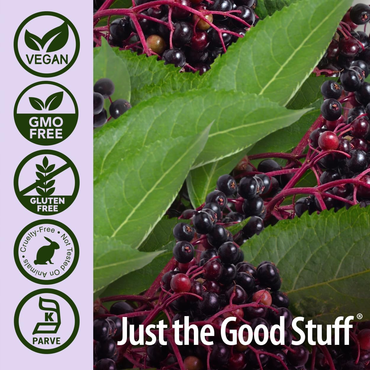Nature's Answer Sambucus Elder Berry Extract Syrup 8 Ounce ( 3 Pack ) | Daily Immune Support | Packed with Antioxidants | Family Friendly | Flue Season Defender