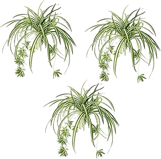Spider Artificial Silk Spider Plants Set
