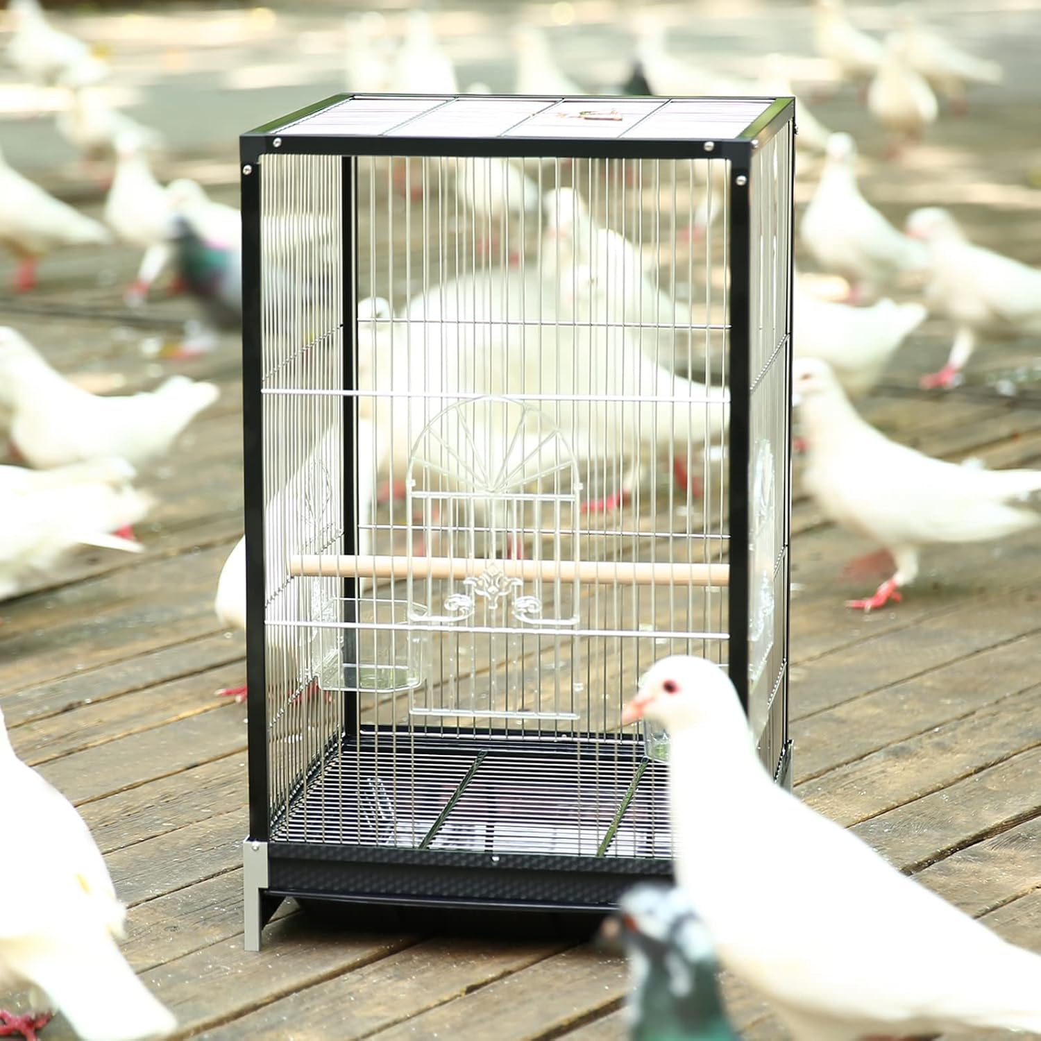 Flat top Bird Travel cage,21 inch Parrot Carrier with Wooden Perch Feeding Cup for Conures Cockatiel Parakeets（Aluminum Frame Black） : Pet Supplies