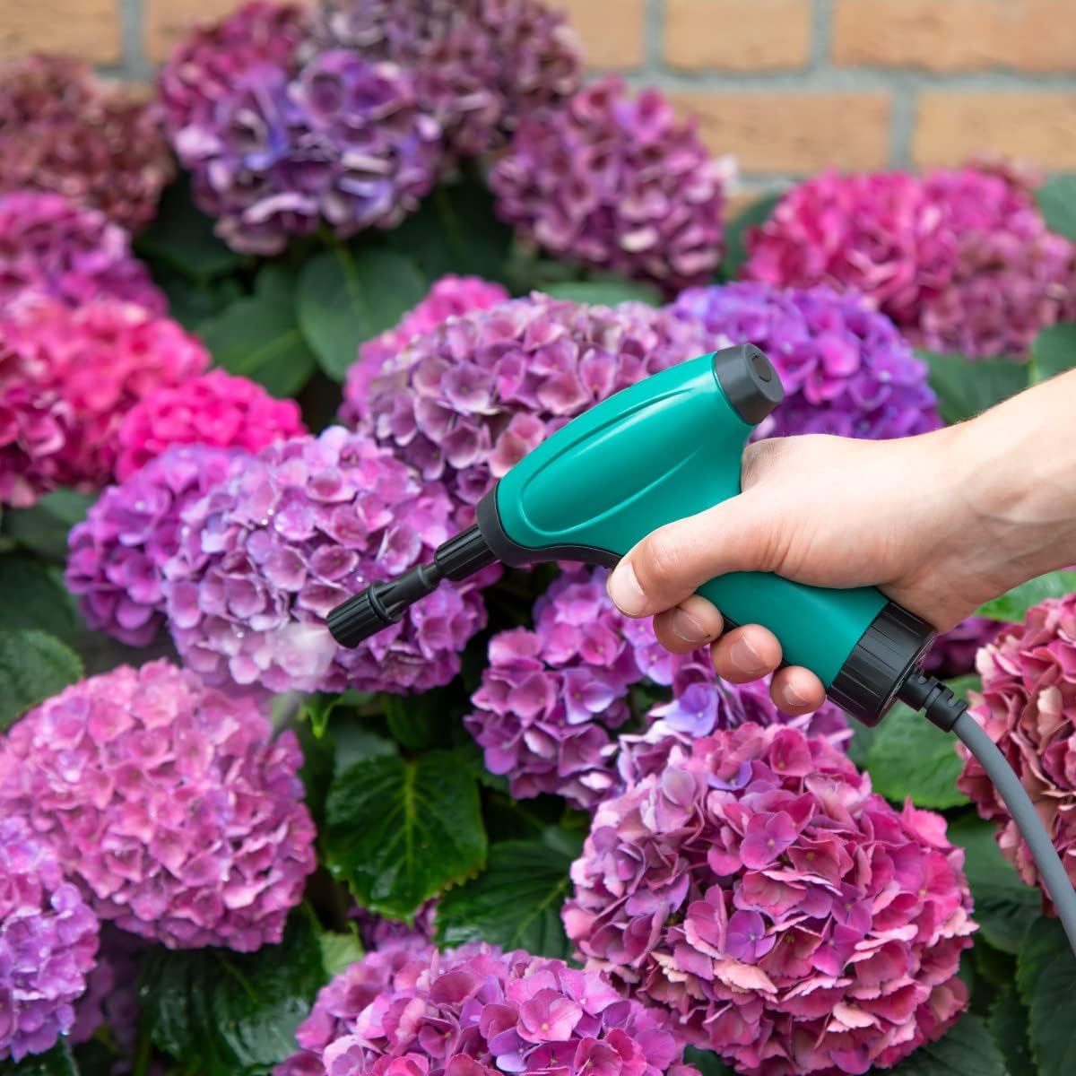 Hand holding VONROC sprayer, spraying water onto purple hydrangeas