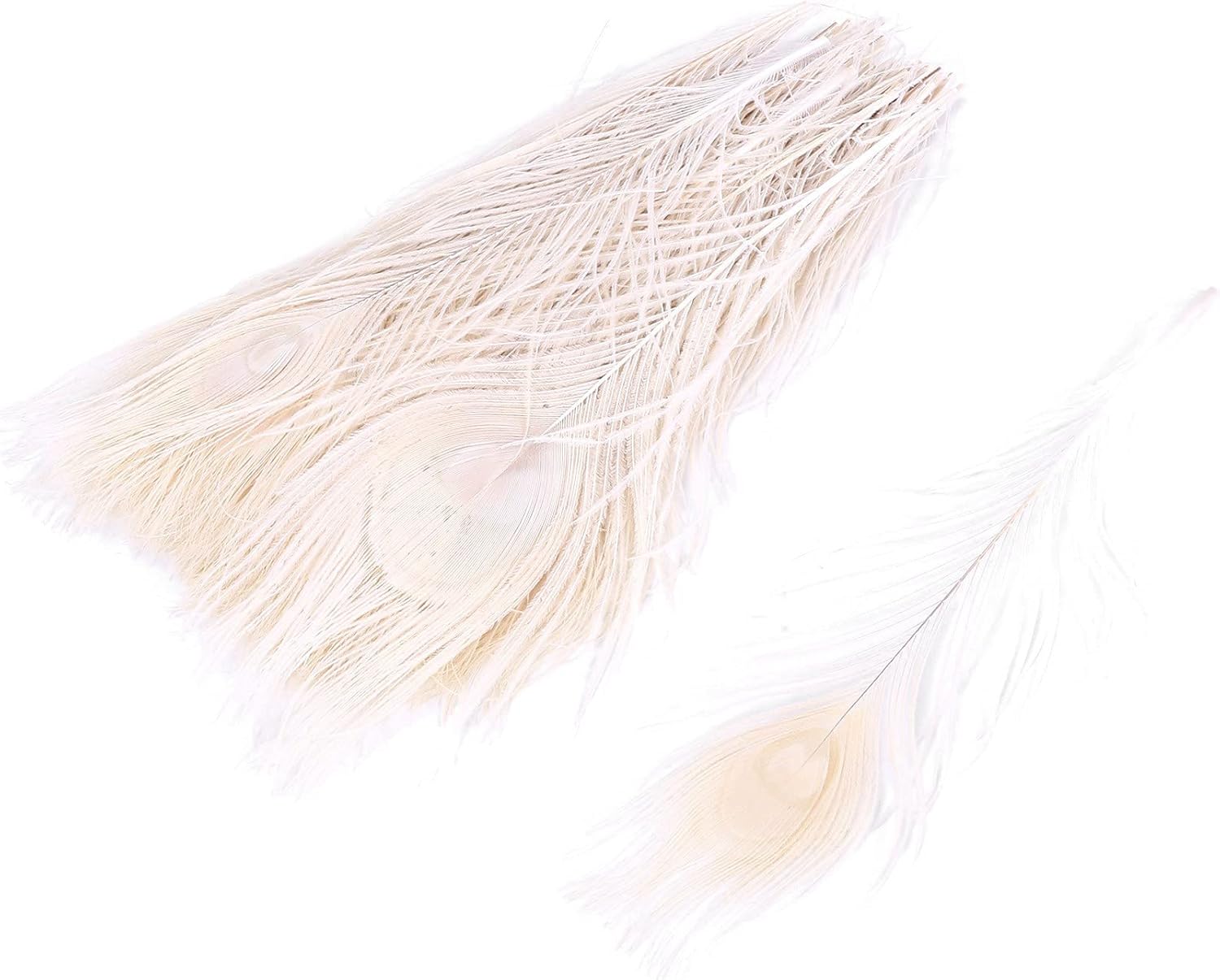 100本/ナチュラルホワイト 目の孔雀の羽 10-12インチの孔雀の羽 結婚式の装飾