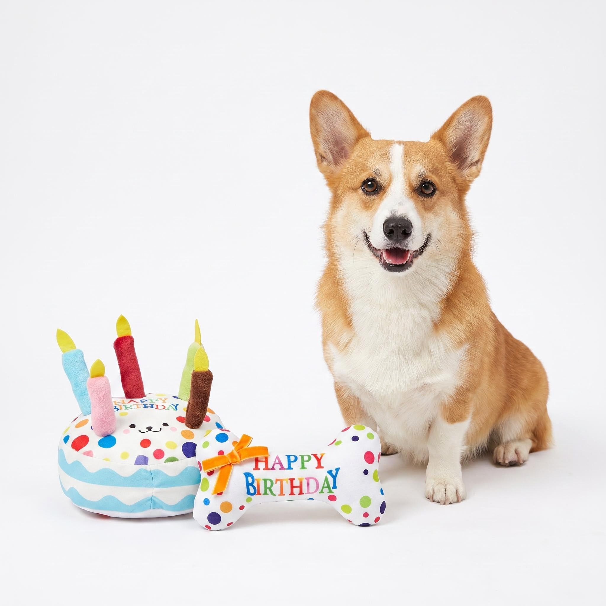 Valicaer Dog Birthday Gifts for Pets, 2 Pcs Dog Birthday Toys Set - Plush Bone & Cake Squeaky Toys for Small Dogs, Soft Chew Toys for Puppy Birthday Celebration