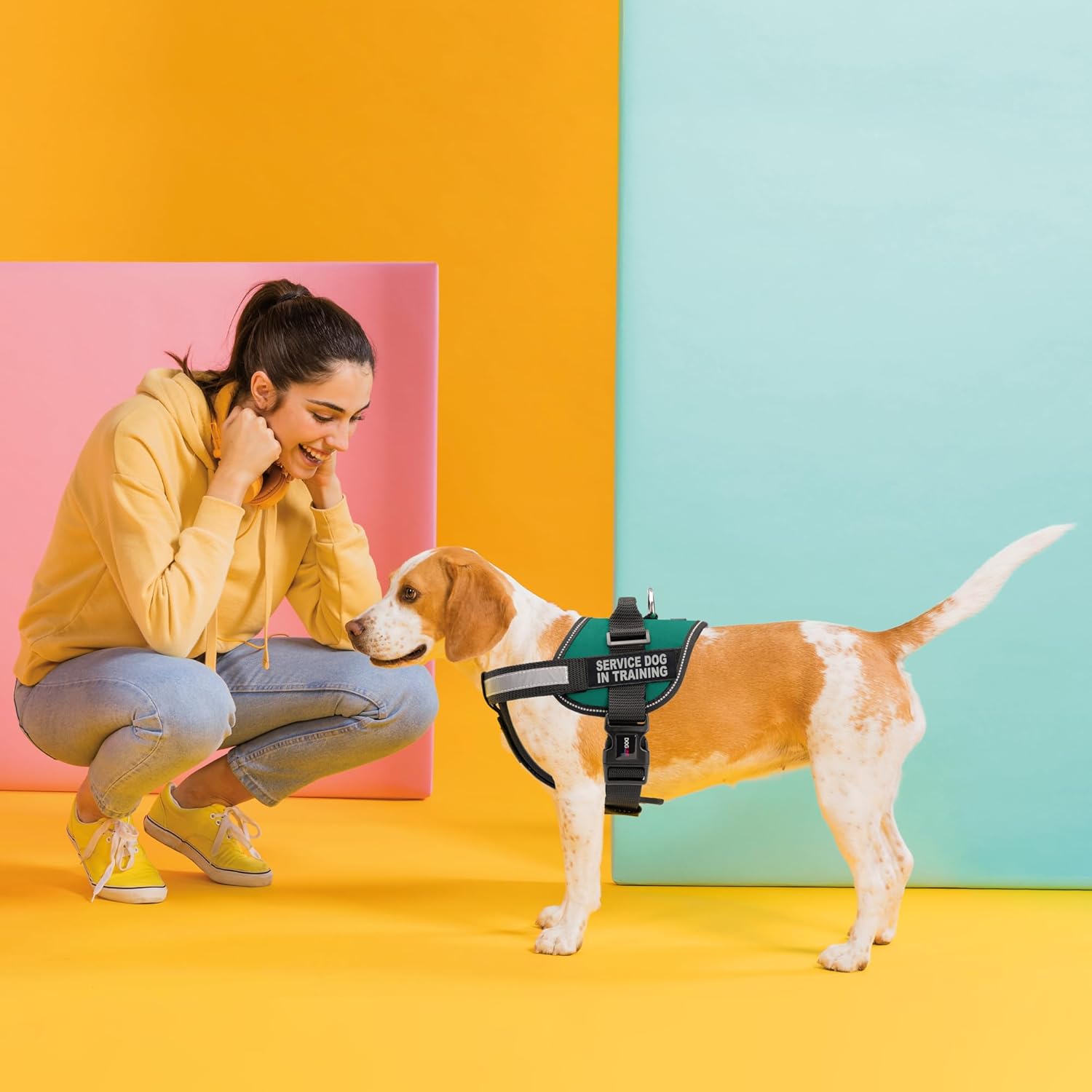 Dogline Unimax Dog Harness Vest with Service Dog in Training Patches Adjustable Straps Breathable Neoprene for Identification Training Dogs Girth 15 to 19 in Turquoise