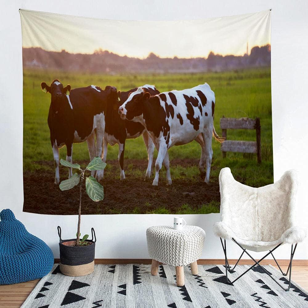 Comment Accrocher Une Peau De Vache Au Mur