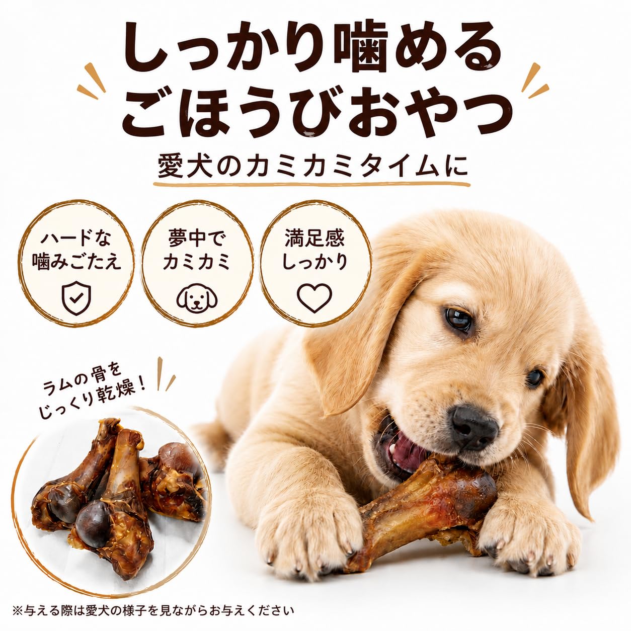 ラムボーンカット３本入 犬のおやつ 大容量 約230~350g(大小個体差あり)…