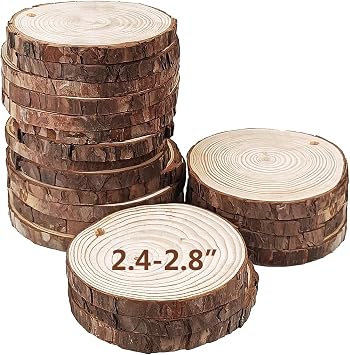 20Pcs Unfinished Wood Slices for Crafts,2.4-2.8Inch Wood Circles with Hole | 0.2 Inch Thick Wood Centerpieces for Tables,DIY Round Wooden Discs with Tree Bark for Holiday Ornaments,Rustic Wedding
