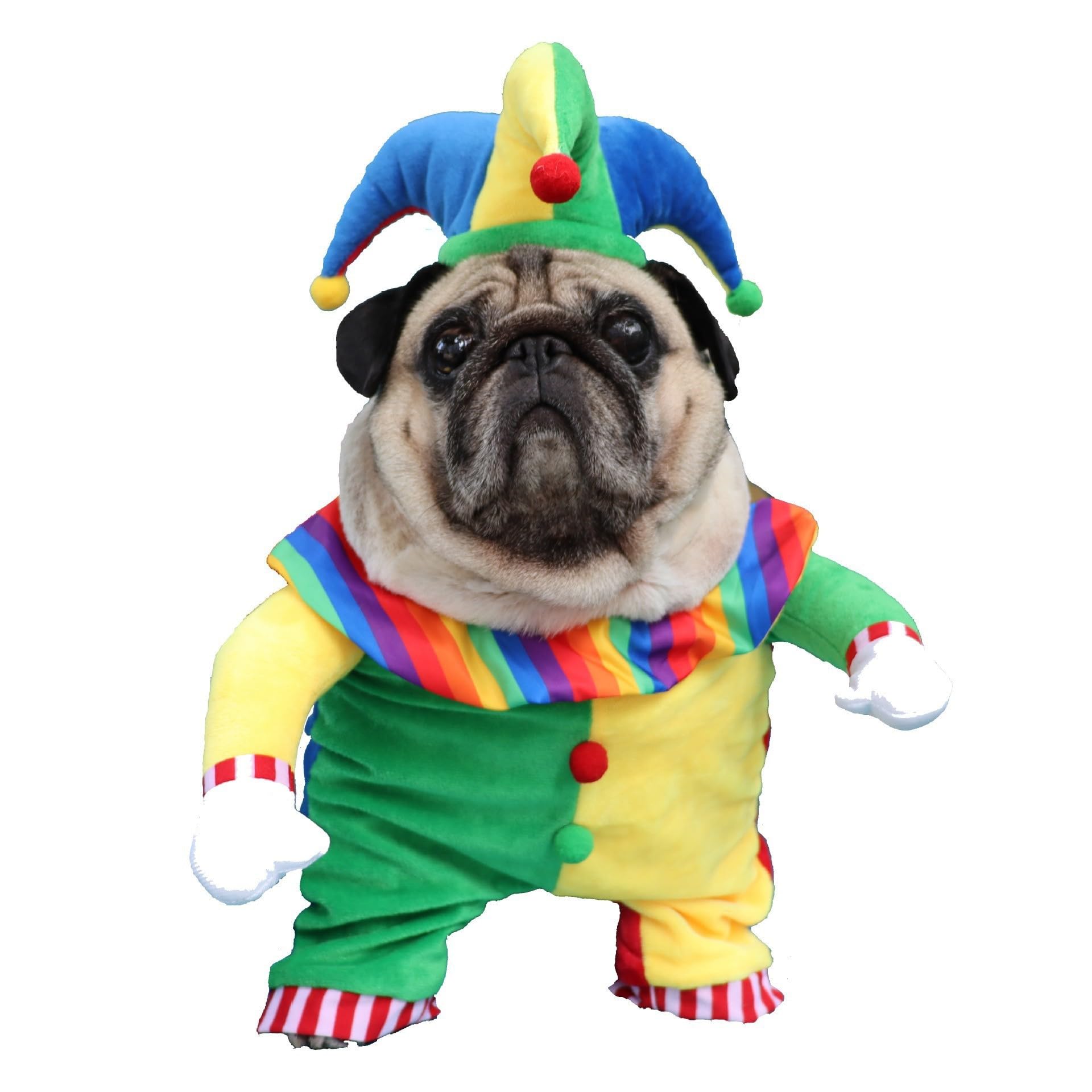 Disfraz Halloween Perrito Disfraz De Payaso Para Perros - Talla M (Halloween/Carnaval)  Traje Perro Halloween, image size:1920x1920