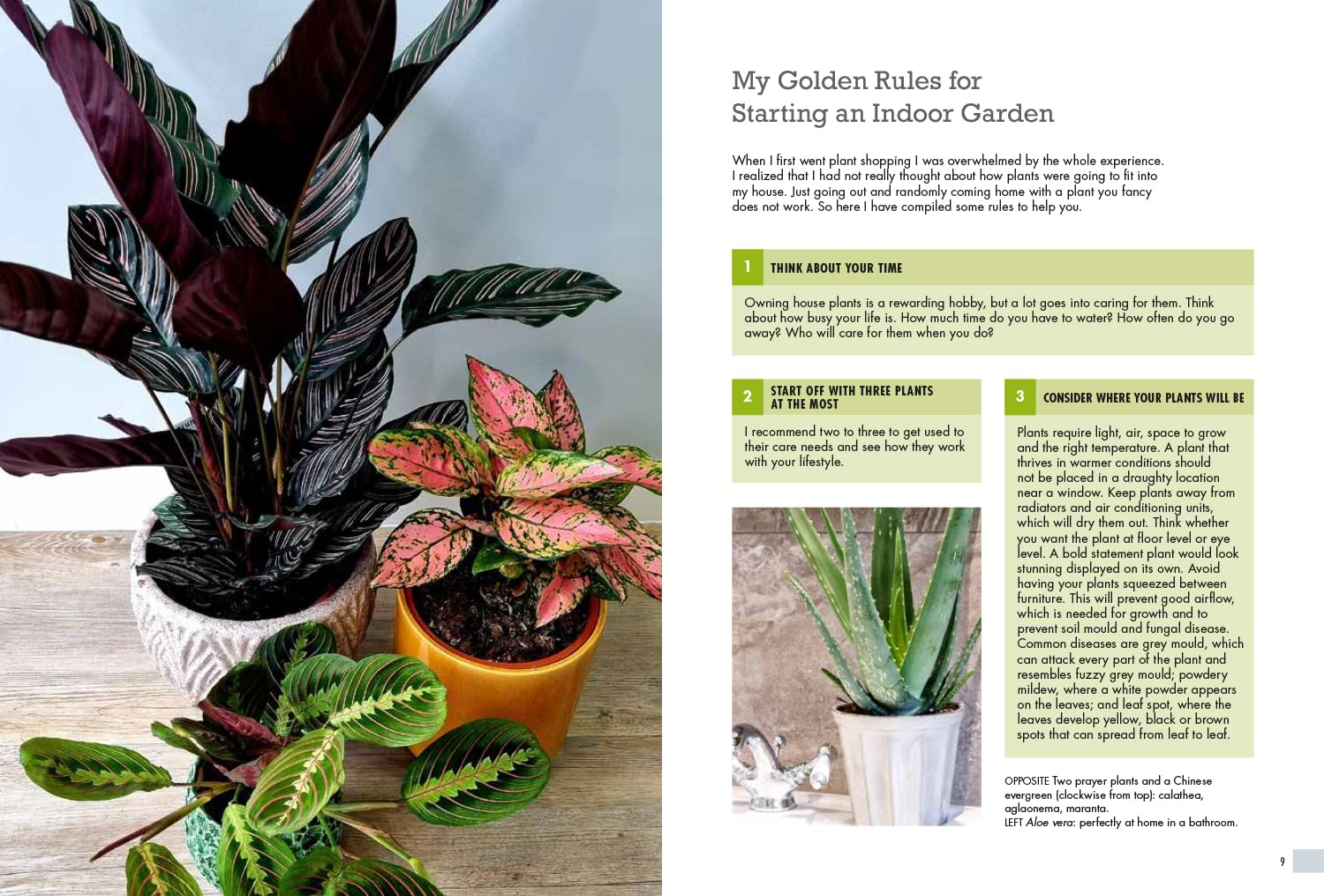 The Indoor Garden: Get Started No Matter How Small Your Space