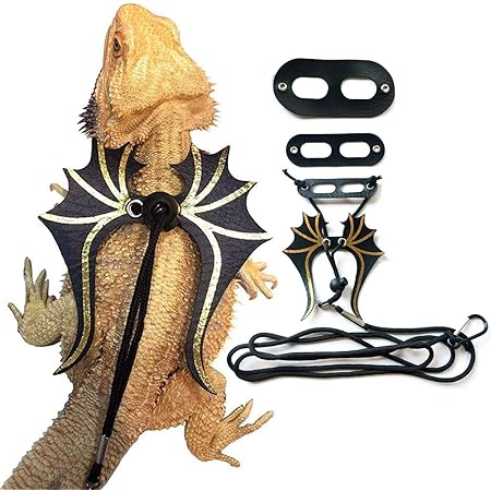 Amazon Ebamaz 蜥蜴 イグアナ Ig 四脚蛇 亀用牽引ロープ ペットリード 小動物引きひも お出かけ散歩用リーシュ M Ebamaz 首輪 ハーネス リード 通販