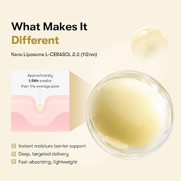 VT COSMETICS Rice Ceramide Serum, Hydrating Face Serum with Rice Extract & Ceramide Complex, Moisturizing Barrier Care Serum for Dry, Dull, Sensitive Skin, Daily Korean Skincare, 1.05 fl.oz