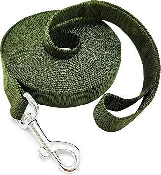 TAIDA 20ft 30ft 40ft 50ft Nylon Long Training Dog Leash for Small Medium Large Dogs, Long leashes Dog/Puppy Lead for Obedience Recall Training, Camping, or Backyard, 1 inch Wide (20 Foot, Green)