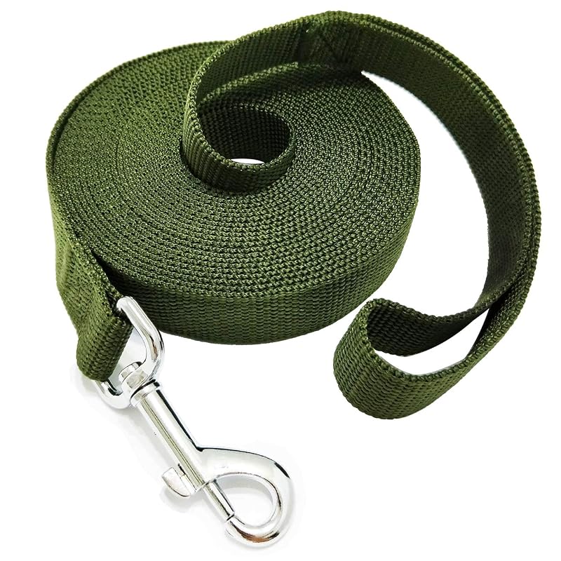 Guia de Adestramento para Cães TAIDA em Nylon com Mosquetão Giratório Green – 6,10 m