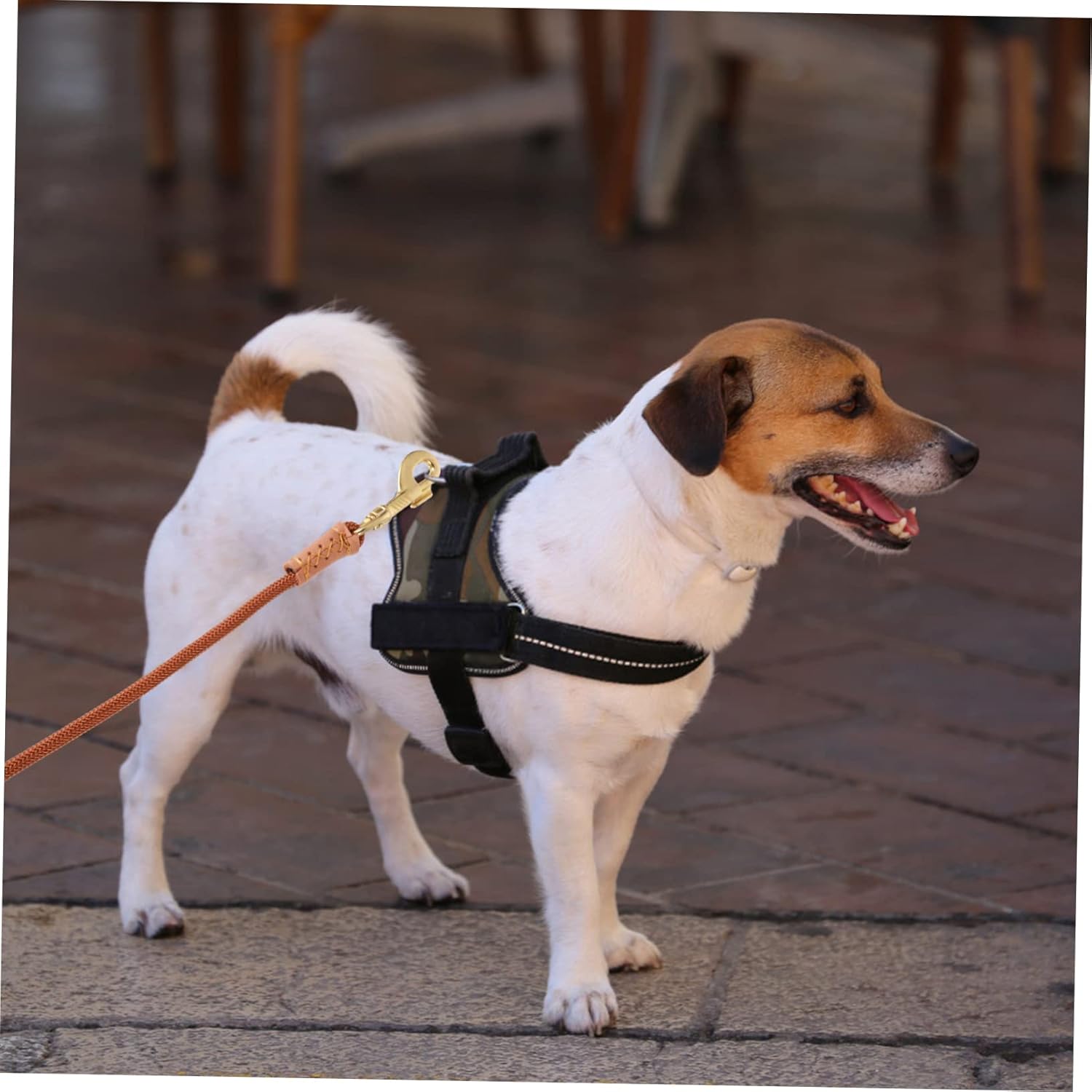 SUPVOX 20m Long Heavy Duty Nylon Dog Training Leash Pet Rope Lead for Dog Running Puppy Leash Comfortable Handle