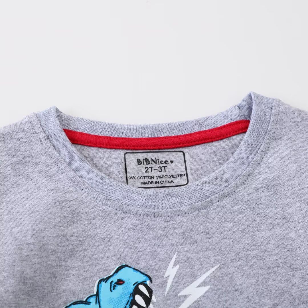 Toddler Boy Long Sleeve Shirts Kids Cotton Fall Top Crewneck Clothes 2-7 Years - Image 9