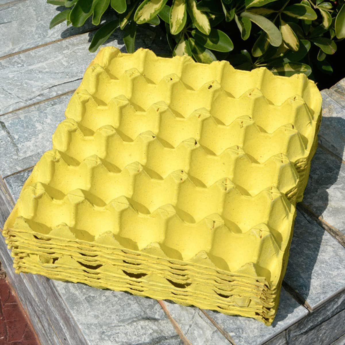 10pcs Egg Trays Counter Egg Holder Storage Containers Cartons Safe and Stylish Organizer