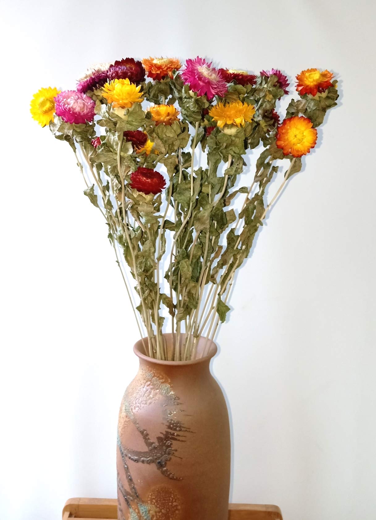 3500 Semi Di Fiori Di Paglia Premium - Fiori Secchi Colorati SeEds Per Una Facile Piantagione E Bellissimi Giardini