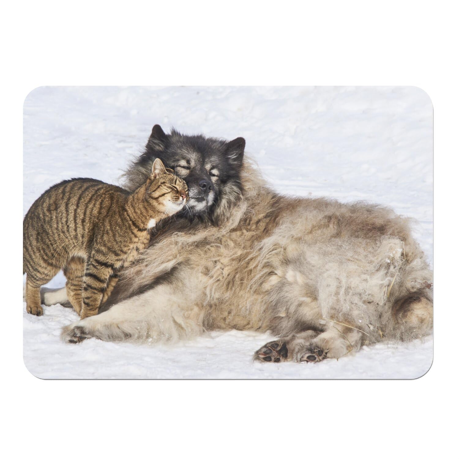 Napperons chien et chat pour repas de famille - Set de table liège déco hivernale