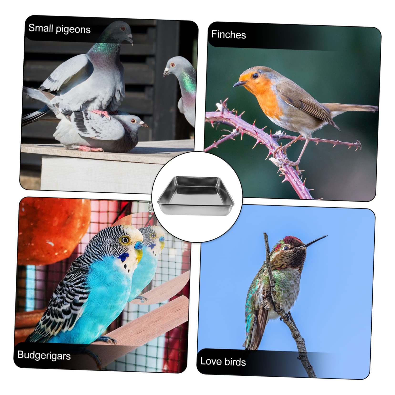 Sosoport Baignoire pour Oiseaux en Acier Inoxydable Argenté, Bain sans Odeur et Sécurisé pour Petits Animaux comme Perroquets et Pigeons, pour Cage Intérieure