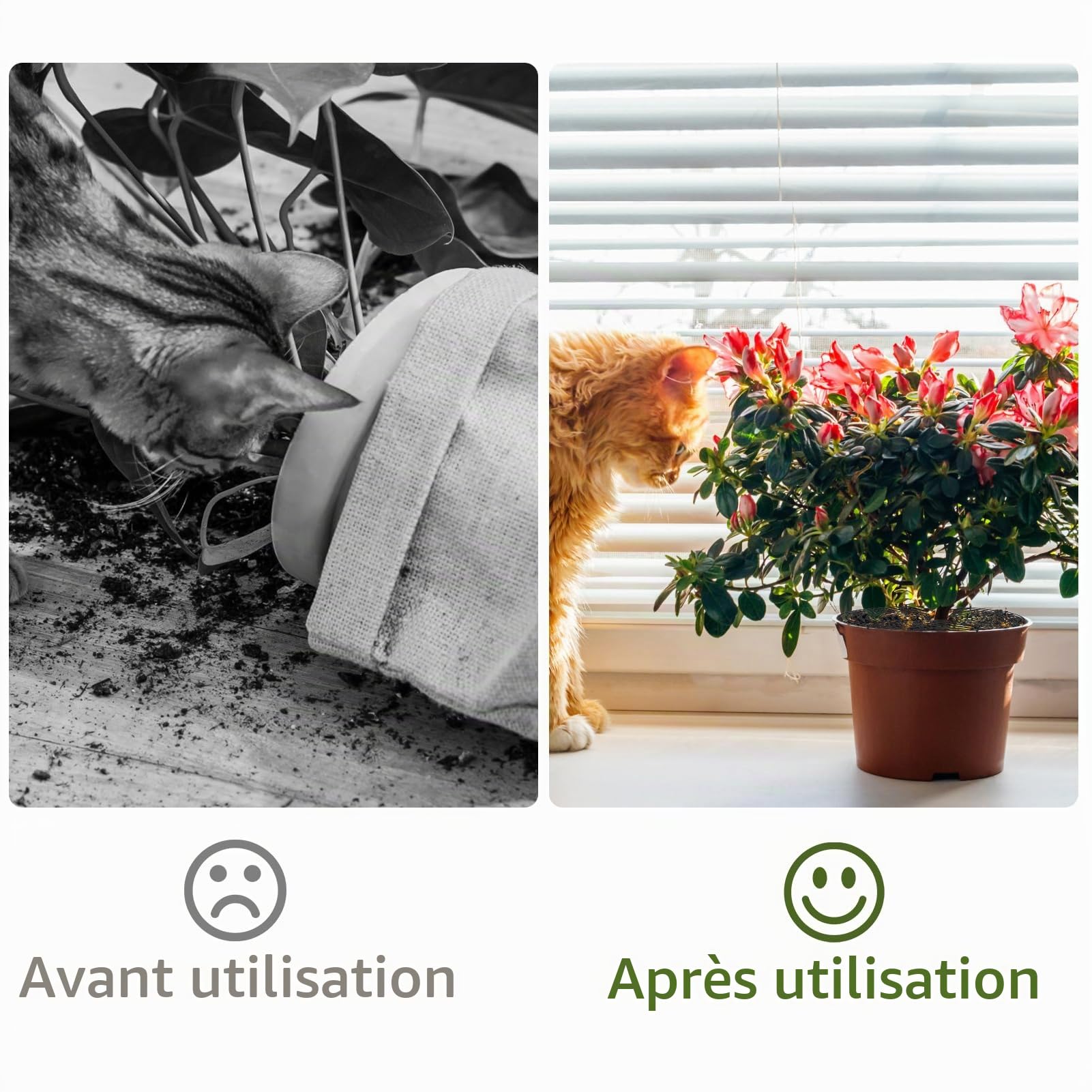 Ownkim Grilles de Protection pour Pots de Plantes - Cache-Pot Réglable jusqu'à 30 cm - Kit Complet avec Boulons et Feuilles en Plastique ABS - Protège Plantes Contre Chats, Enfants et Débris