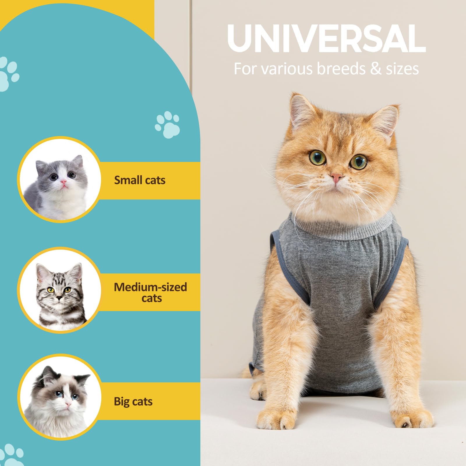 LIANZIMAU Body na operatie kat vrouwelijke overall kat na operaties kattenpak na operaties herstelpak voor kat na operaties kittens sterilisatie kleding voor katten