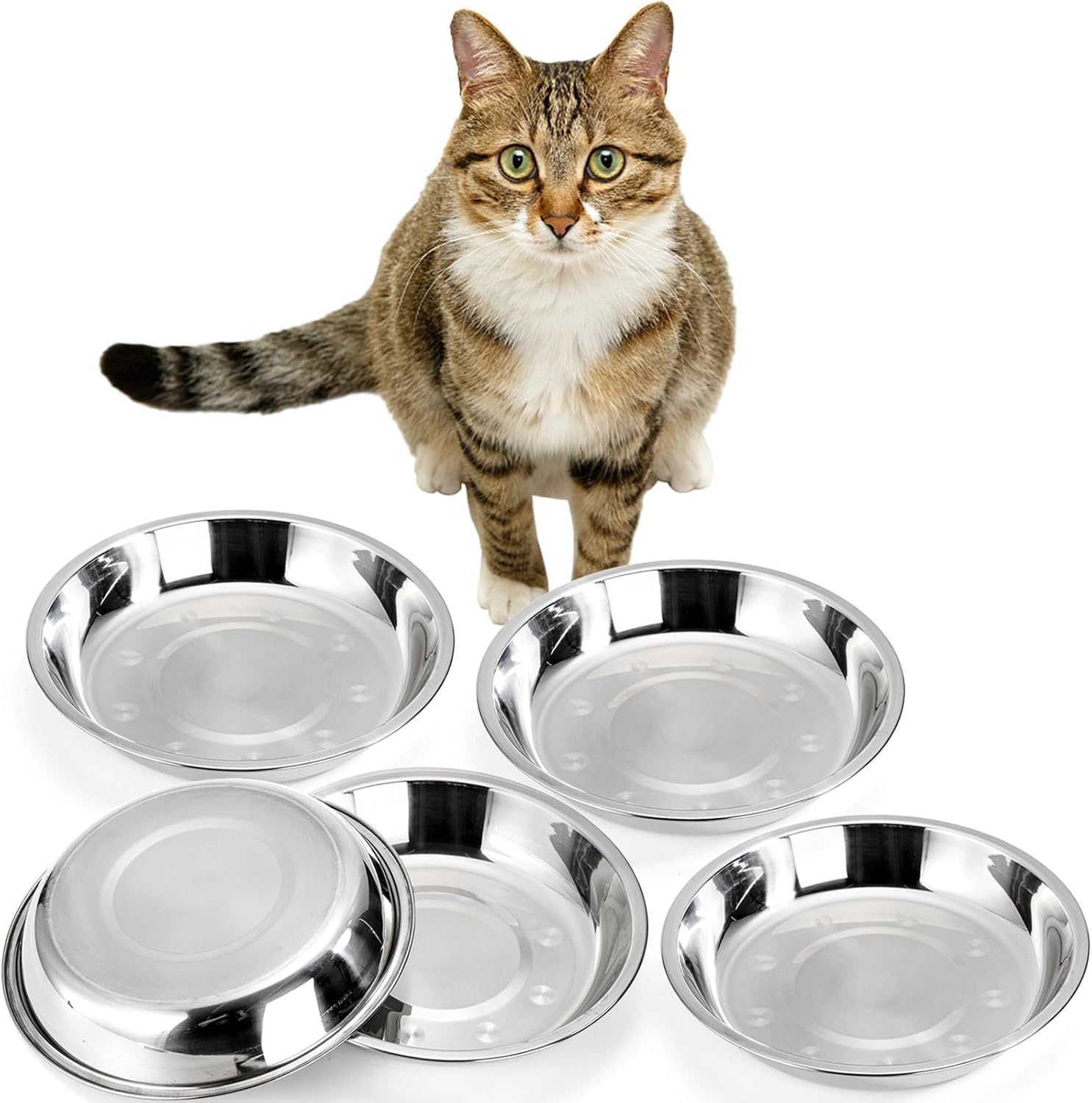 DEAYOU 5 Pack Stainless Steel Cat Bowls, 7.7" Wide Shallow Cat Food and Water Dish, 16 OZ Basic Pet Feed Bowl, Metal Replacement Bowl Plate for Kitten, Puppy, Dog, Elevated Stand, Whisker Friendly