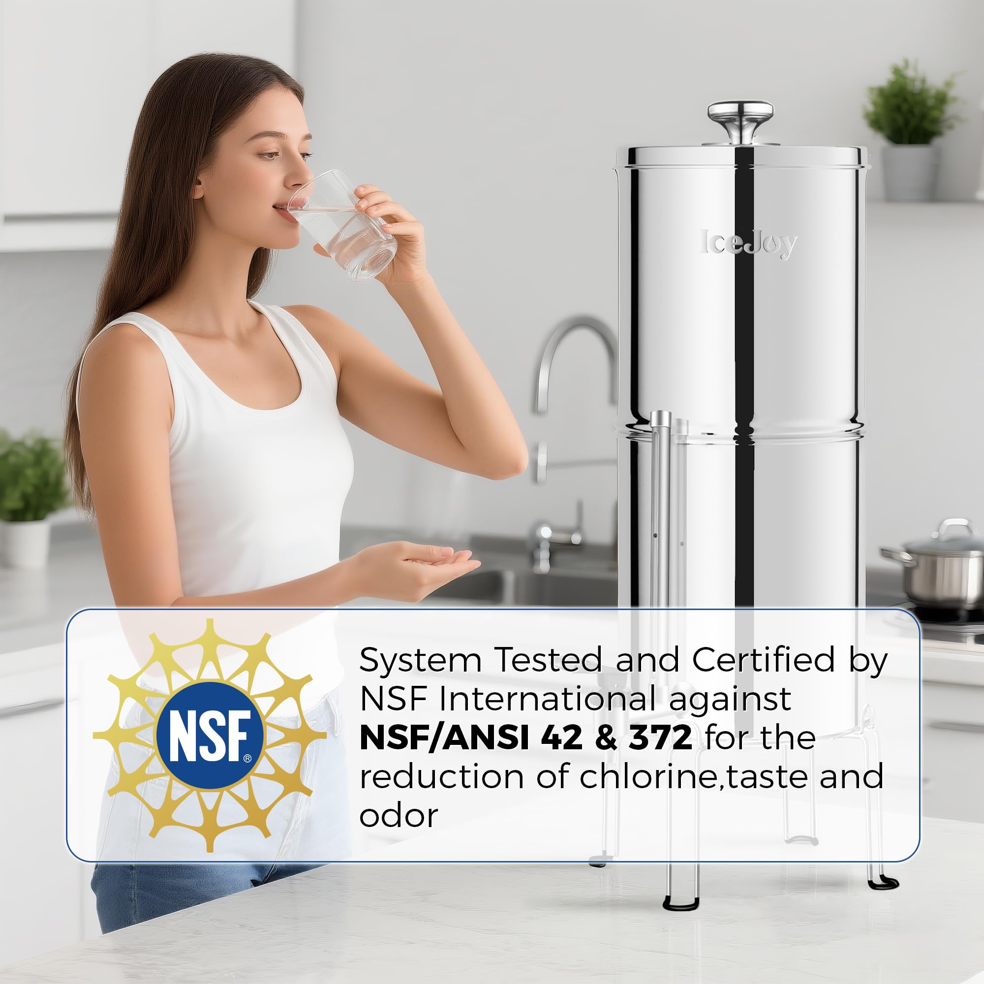 IceJoy Sistema de filtro de agua alimentado por gravedad, sistema de acero inoxidable de 3 galones con 3 filtros de carbono y 3 filtros de fluoruro, espiga de nivel de agua de metal, reduce el cloro,