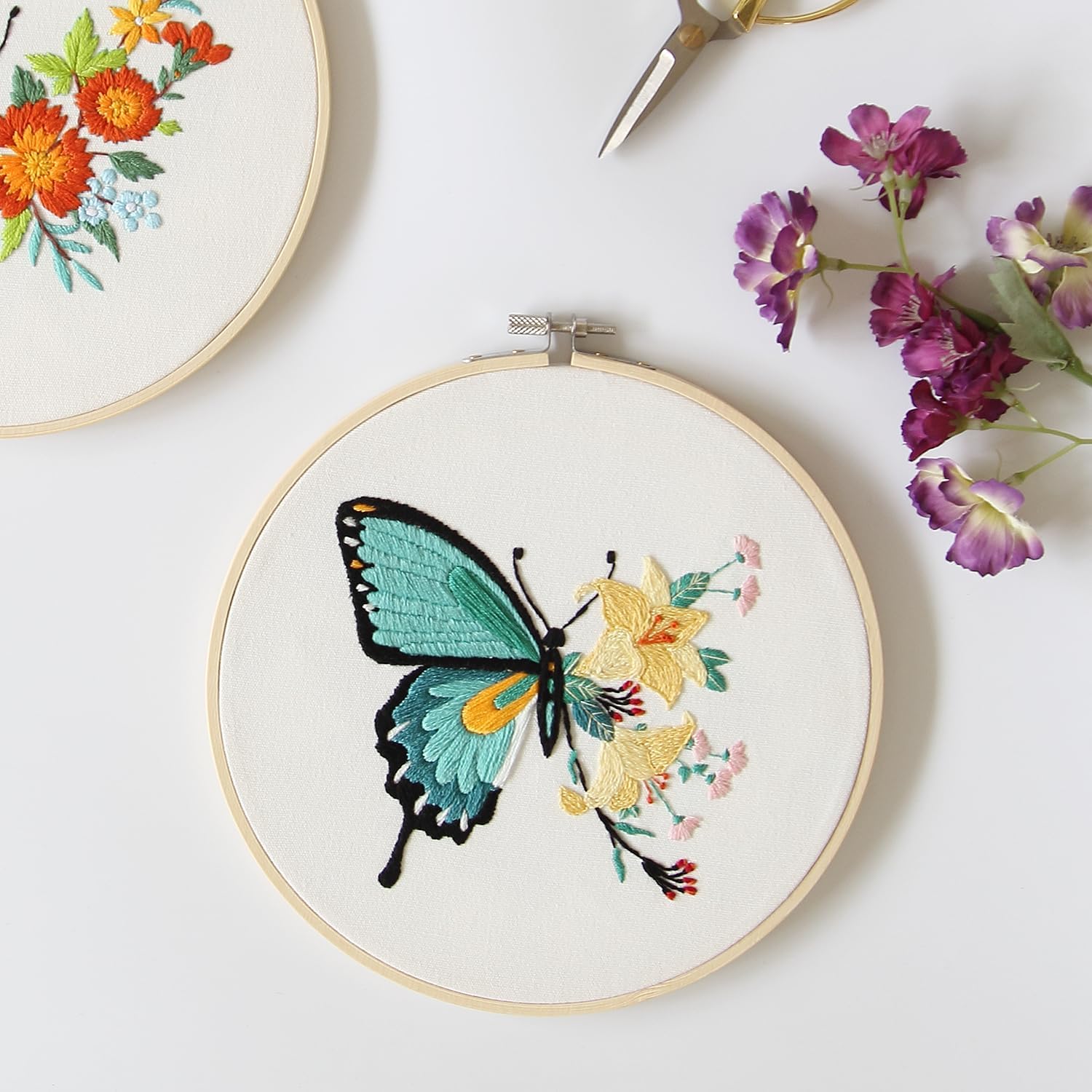 Bonroy 4 Sets Embroidery Kit for Beginners,Embroidery Art Craft Handy Sewing Include Clothes with Pattern,Embroidery Hoops, Instructions,Color Threads Needle (Butterfly) (CX-55)