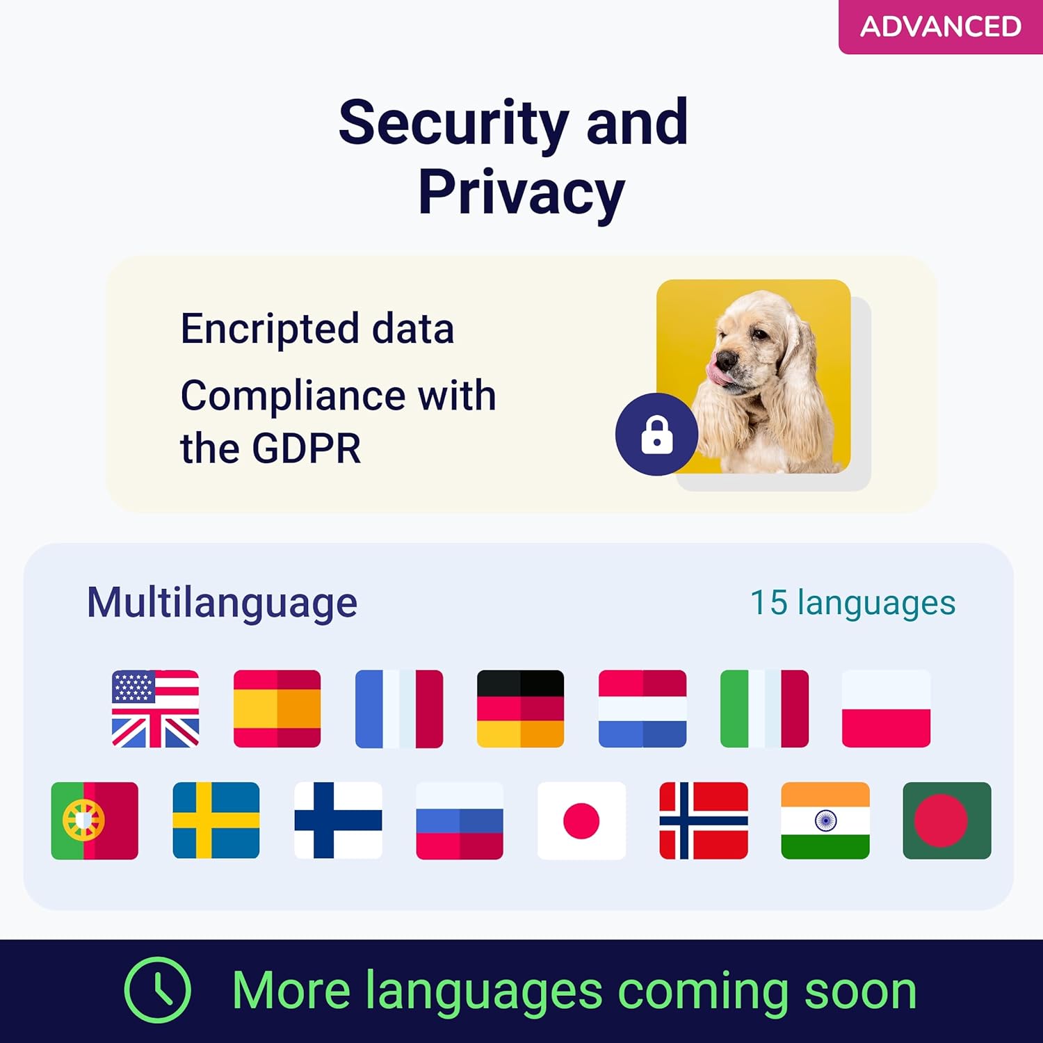 tellmeGen Koko Genetics Advanced DNA Test for Dogs, Analyzes & Identifies 415+ Breeds, Family Tree, Offers 175+ Genetic Health and Traits Reports, Lifetime Updates Included