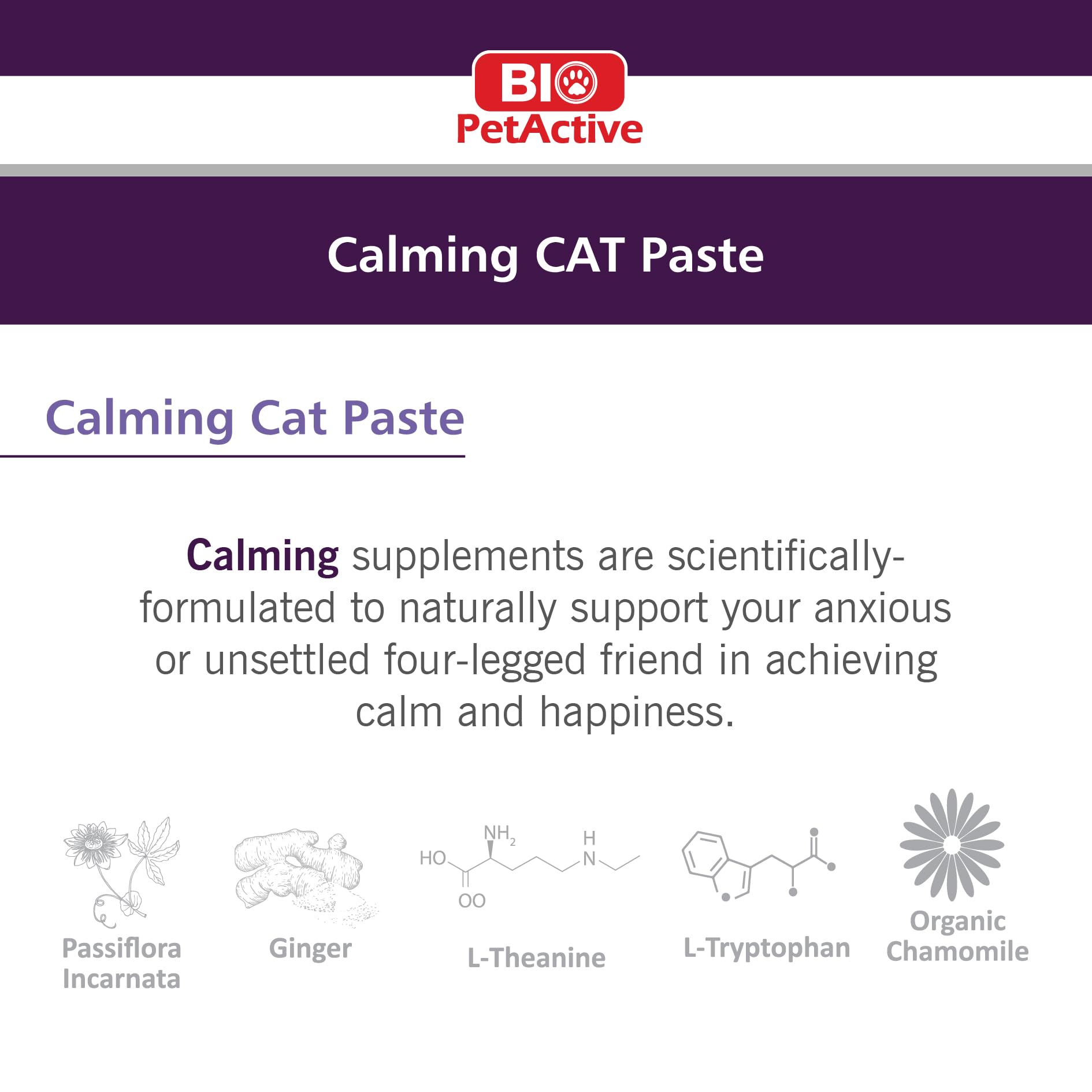 Calming CAT Paste (100 ml) | Natural Anxiety Relief Supplement for Cats | Formulated to Support Relaxation | Well-Being 1