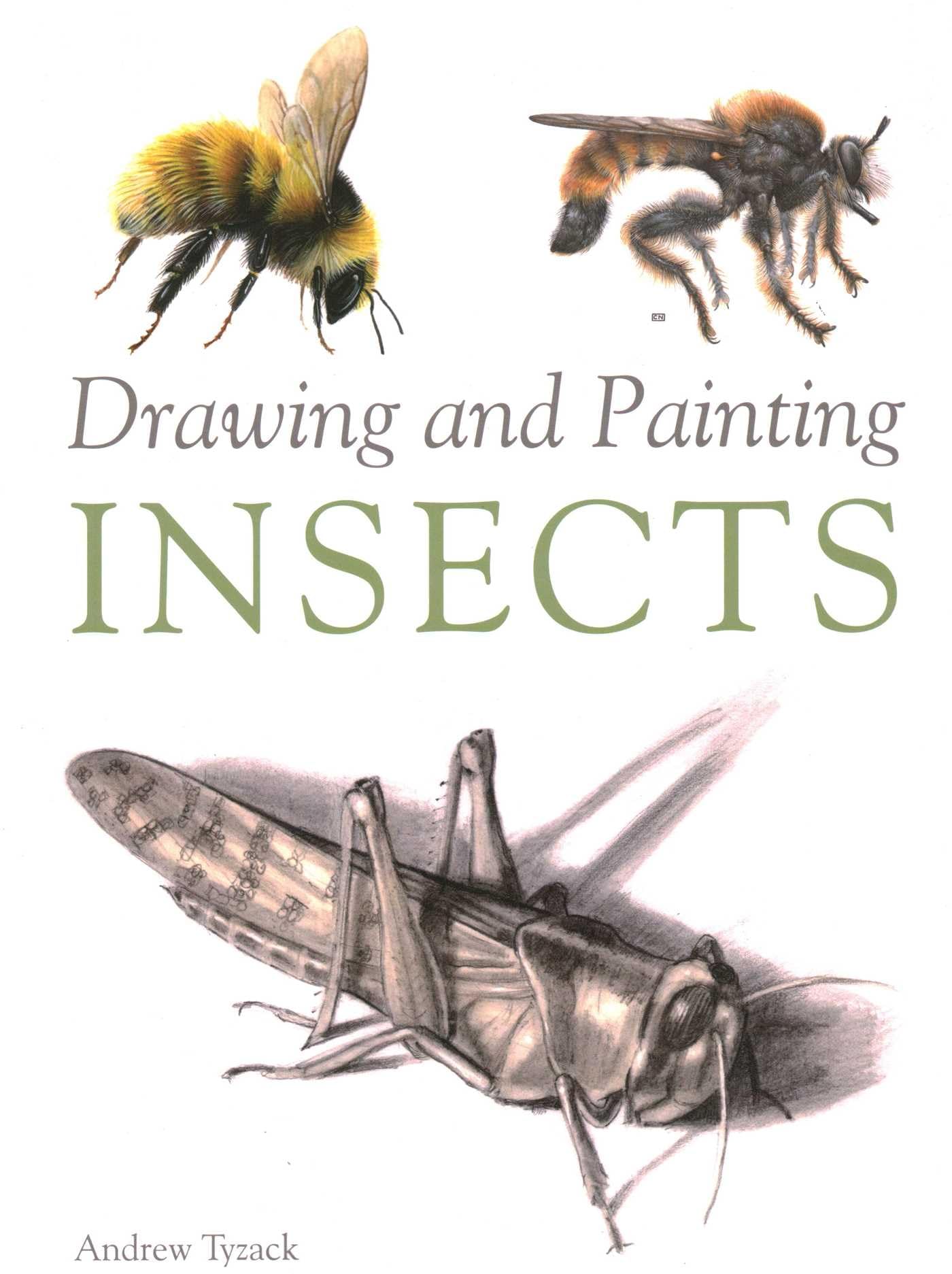 Drawing and Painting Insects by Andrew Tyzack (2014, Trade Paperback)