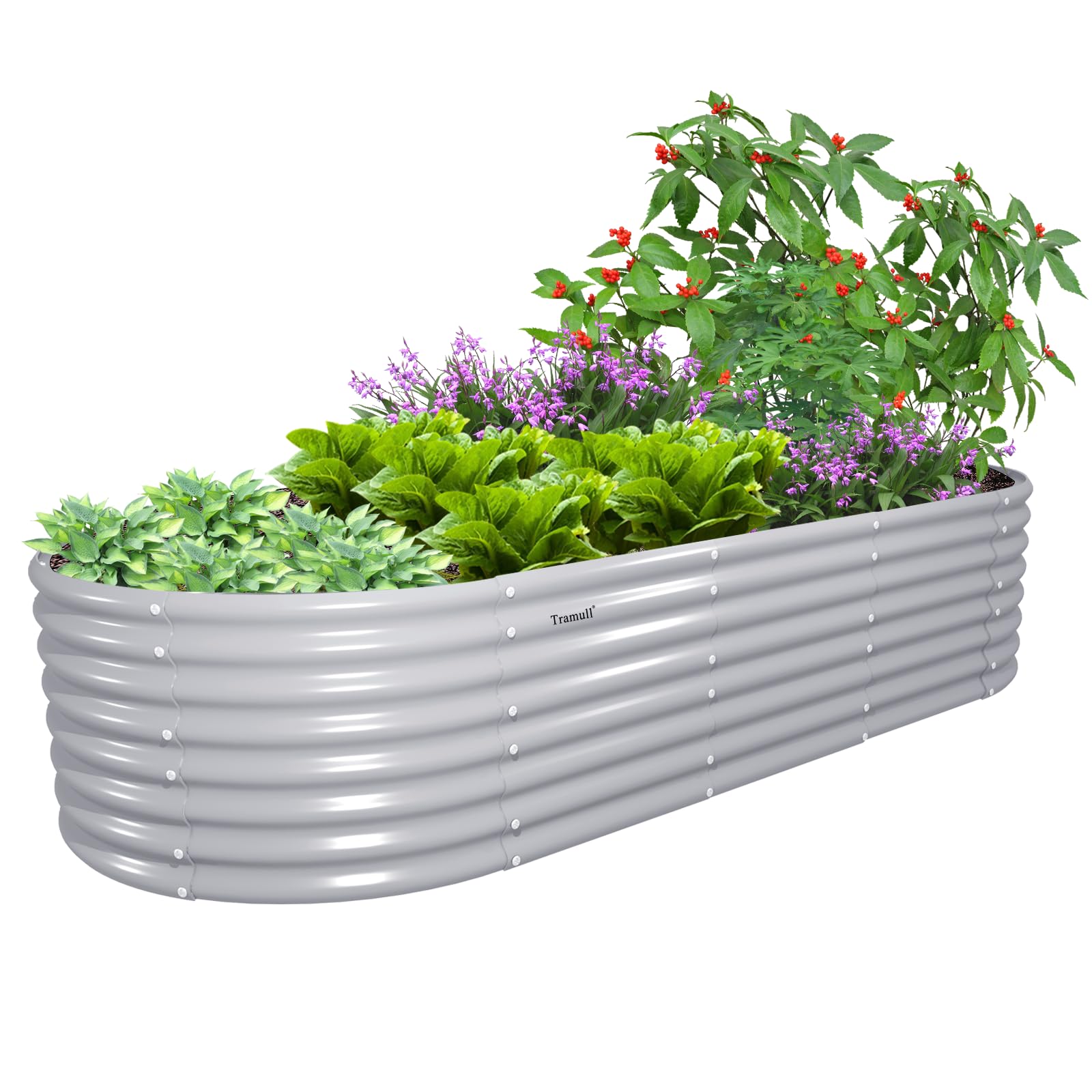 Tramull 8x3x2ft Galvanized Raised Garden Bed