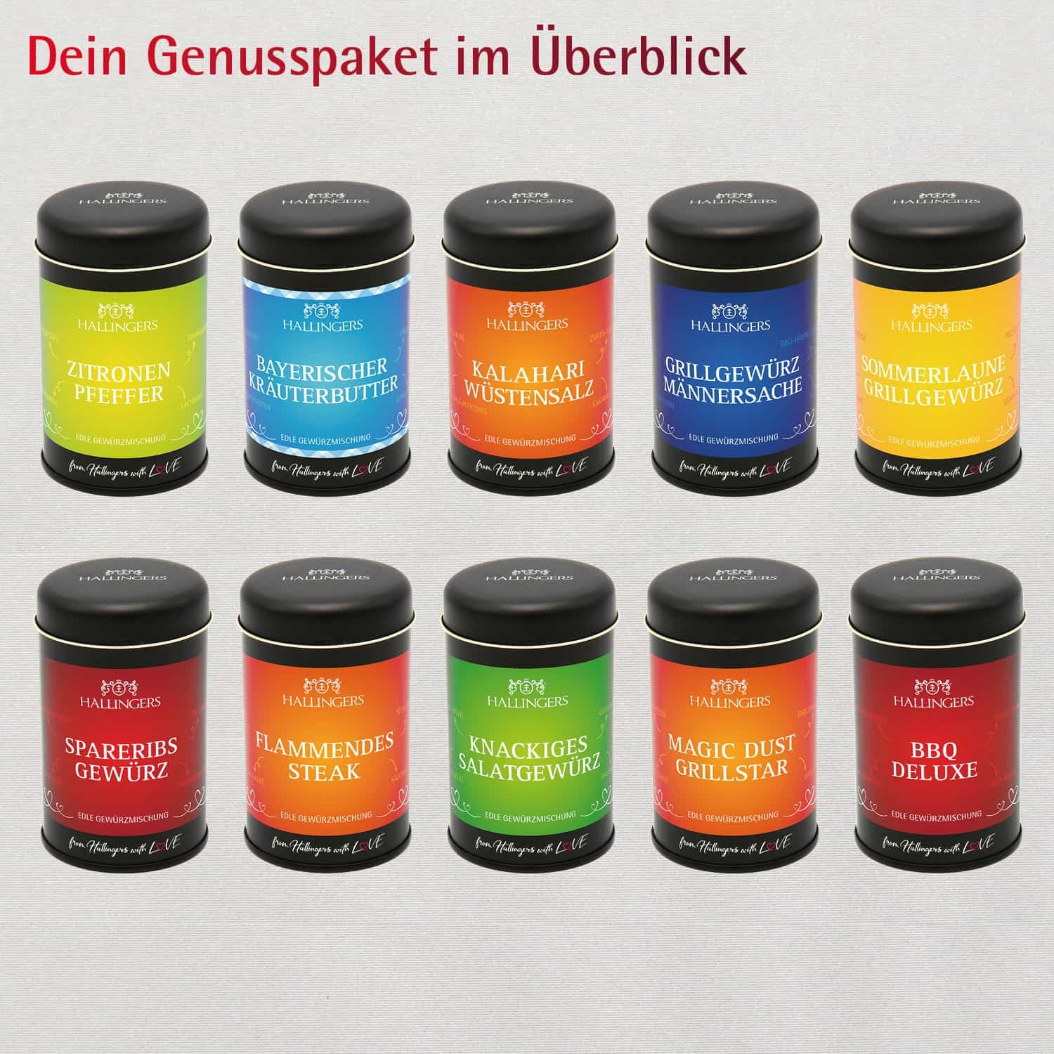 Hallingers Genuss Manufaktur Gewürz Geschenk-Set - Selektion unserer Besteller als Probierset in edlen Aromadosen & Tragetasche "Best of BBQ", Geschenkidee für Frauen Männer