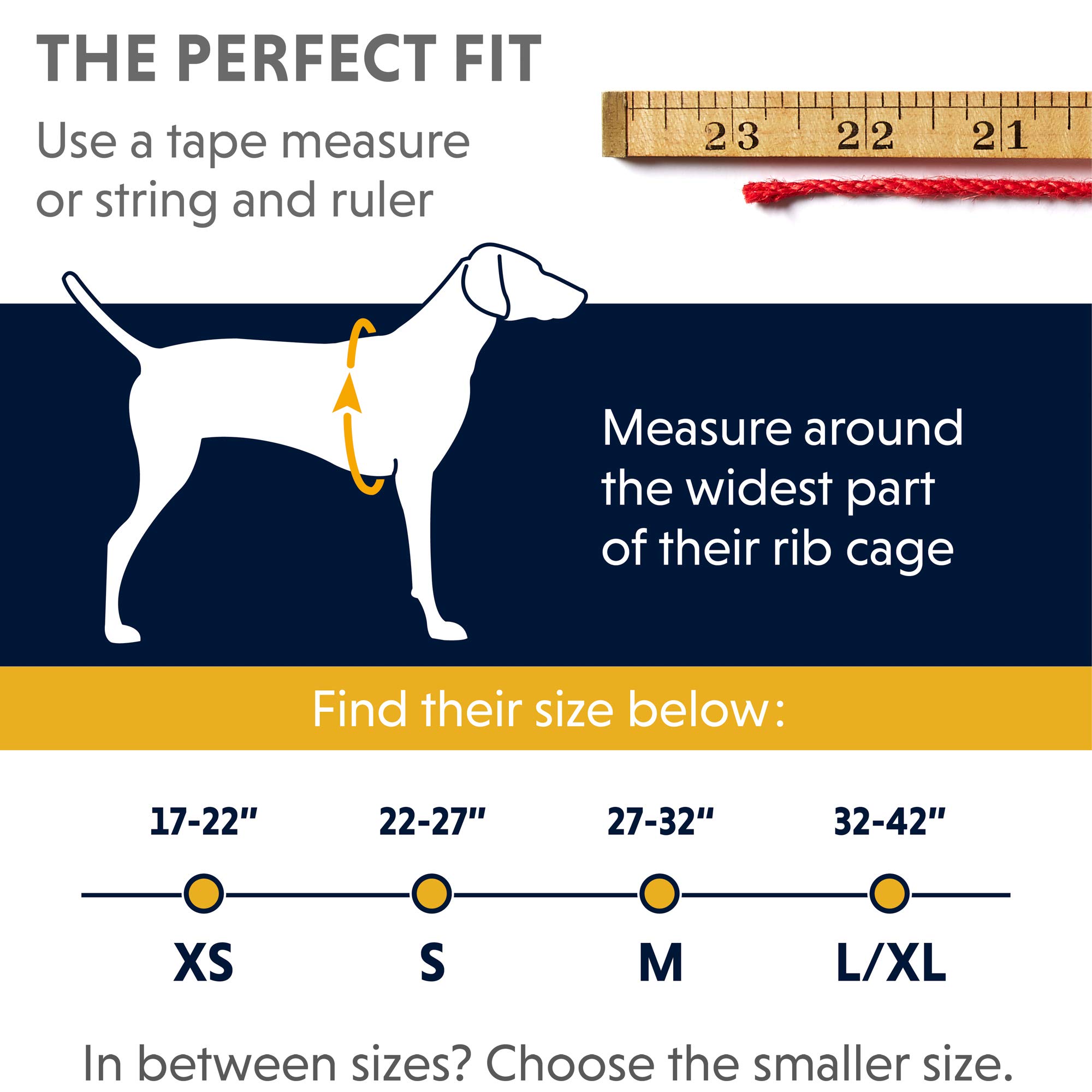 Ruffwear Imbracatura da Arrampicata per Cani, Razze da Grandi a Molto Grandi, vestibilità Regolabile, Taglia: L/XL, Grigio Cloudburst, Imbracatura Doppia