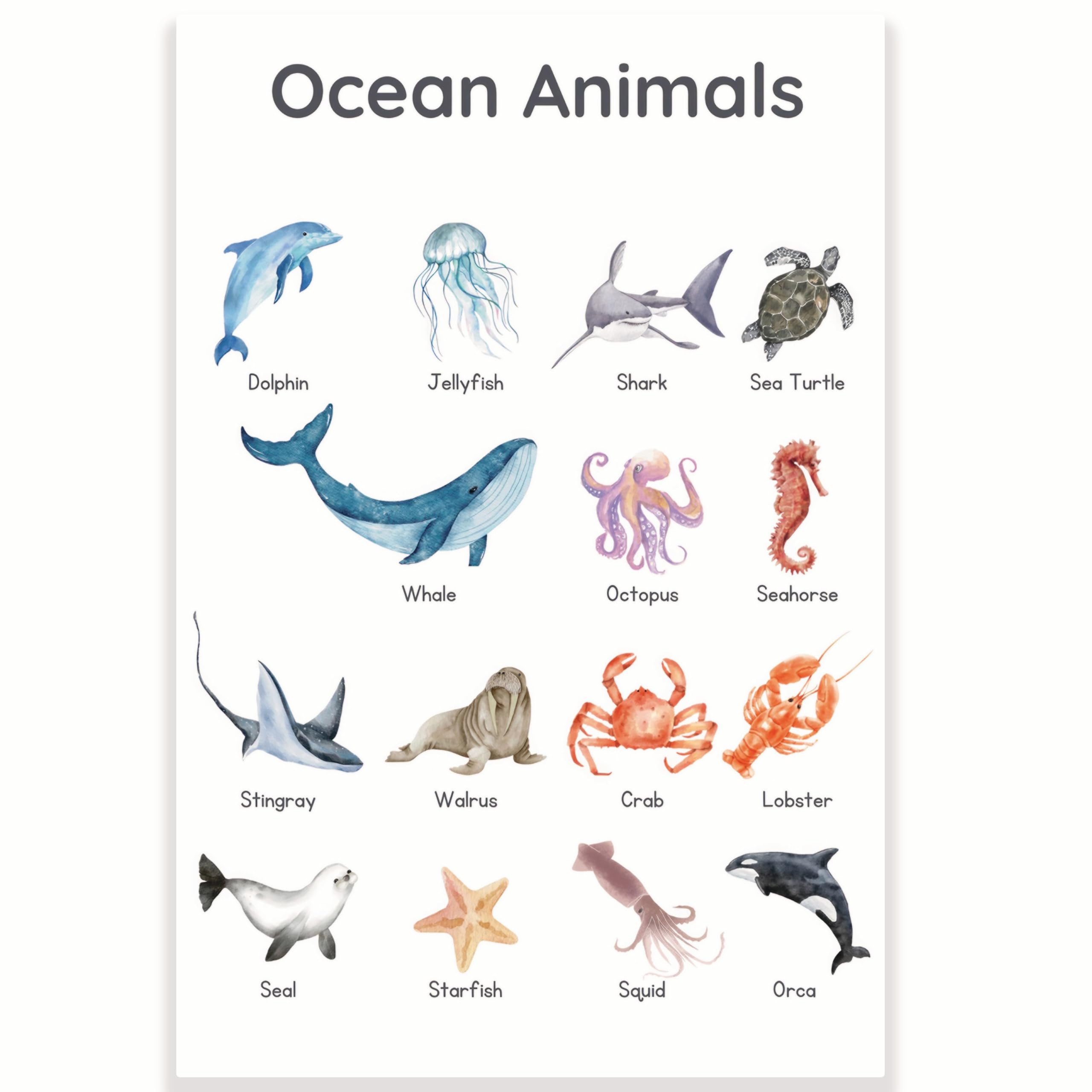 Amazon.co.jp: Printlabz 海洋動物ポスター 教室ポスター - 海の動物を