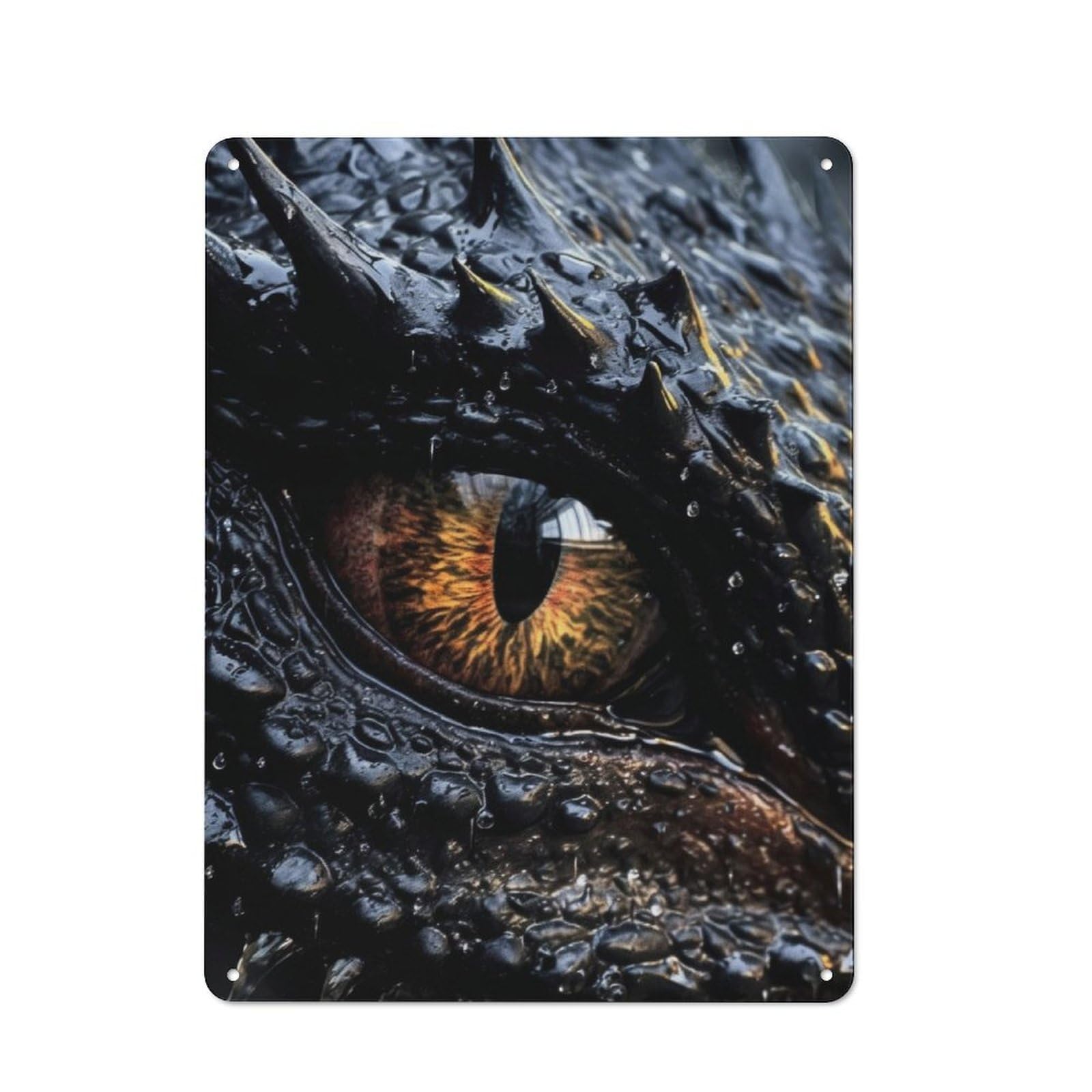 Junmoney Dragon Eye For Garden Room Or Summerhouse, Vintage Tin Sign 40X30cm, A Metal Wall Feature For Garden Rooms And Summerhouses