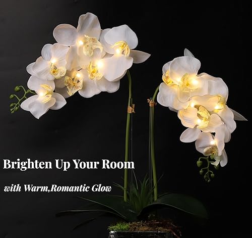 Miniatura 4 de Lámpara de orquídea con arreglos de orquídeas iluminadas LED, orquídea artificial preiluminada, luces de flores iluminadas, arreglo de falaenopsis