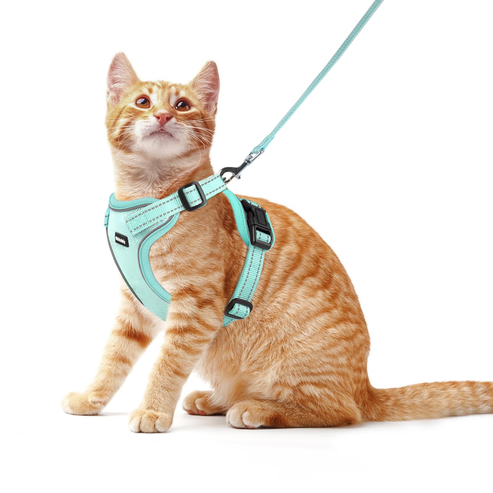 Rttochfy Katzengeschirr und Leine, verstellbares reflektierendes Kätzchengeschirr, ausbruchsicheres Kätzchengeschirr, einfach anzuziehen, mit 3 Schnallen, für Spaziergänge und Reisen (Hellgrün, L)