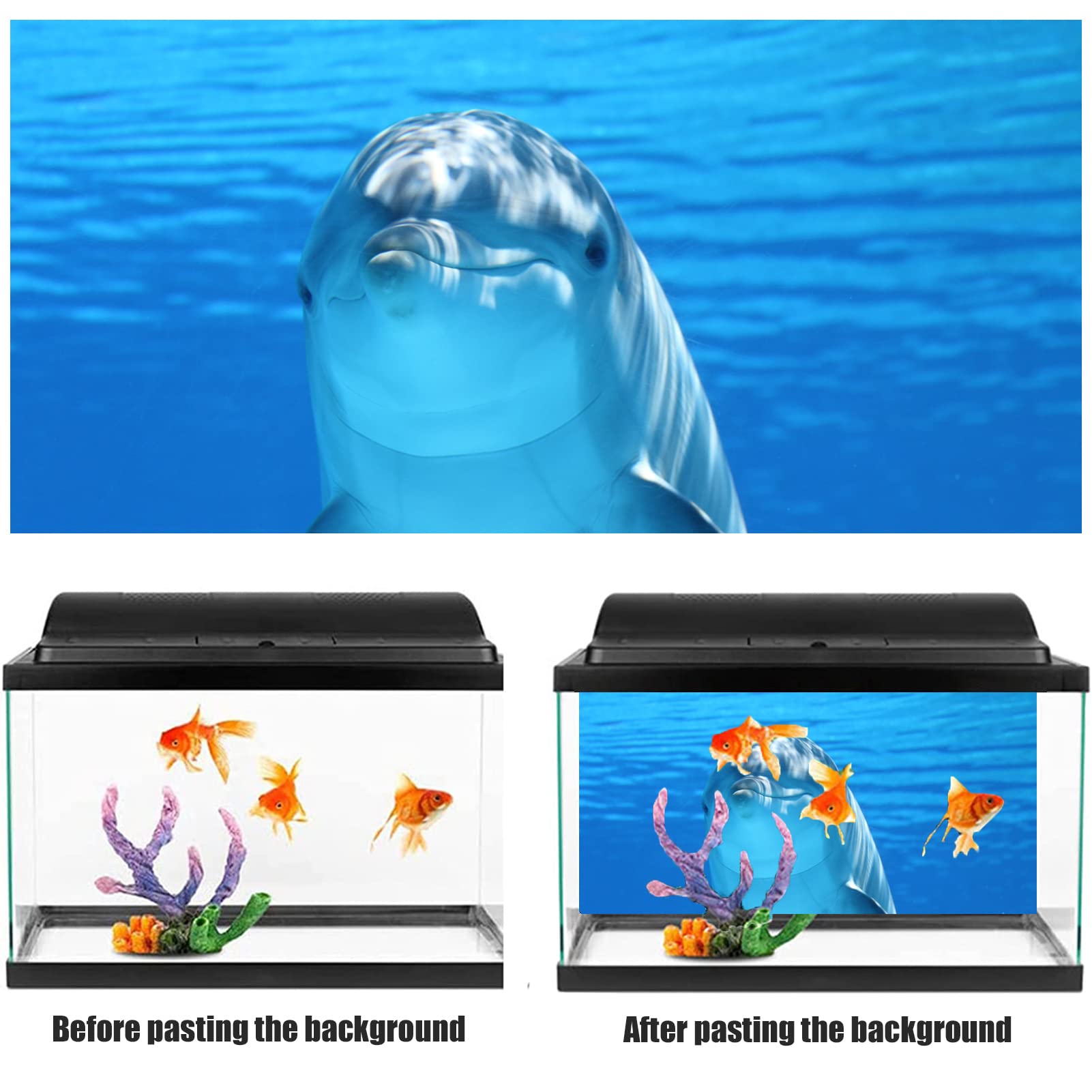 NIMOSA Adesivo sfondo acquario, adesivo per acquario, sfondo acquario, delfini oceanici in PVC, sfondo acquario, poster subacqueo, decorazione murale, 122 x 76 cm