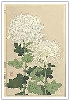 Vintage Japanese White Chrysanthemums Ukiyo-E Poster - Retro Floral Canvas Wall Art Print 12x18in Unframed Home Decor